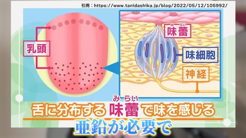 味覚が変わった