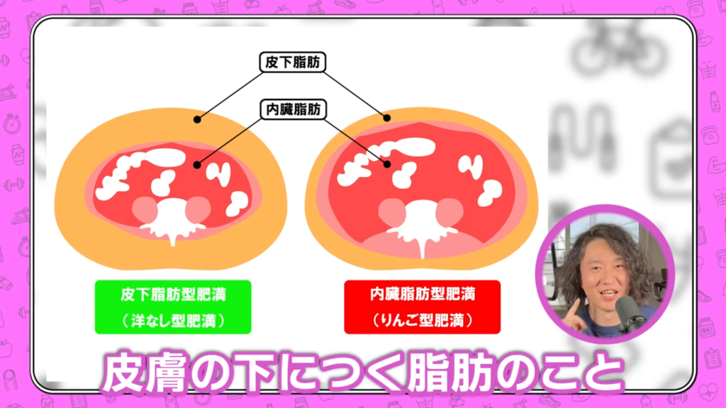 そもそも「皮下脂肪」って何?
